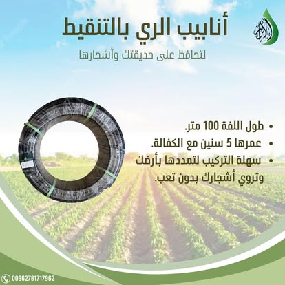صورة 11
