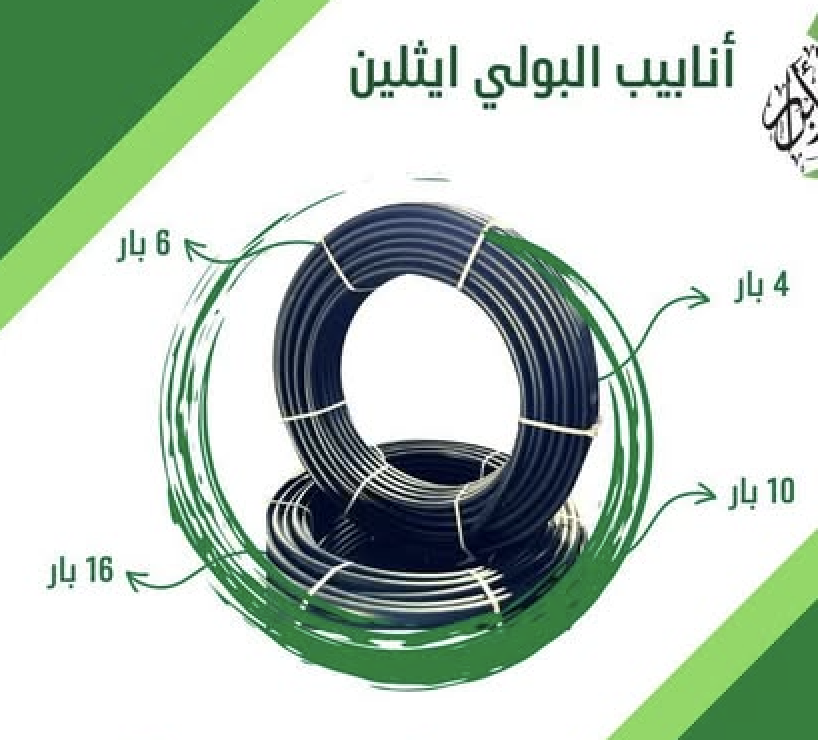 صورة 16